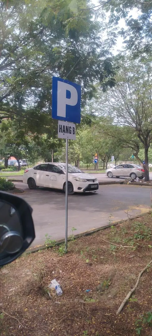 Hình ảnh học lái xe thực tế